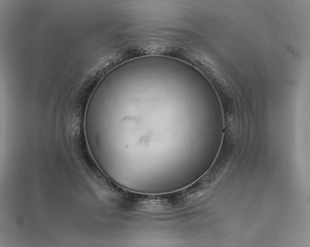 X0000112510499200908171336