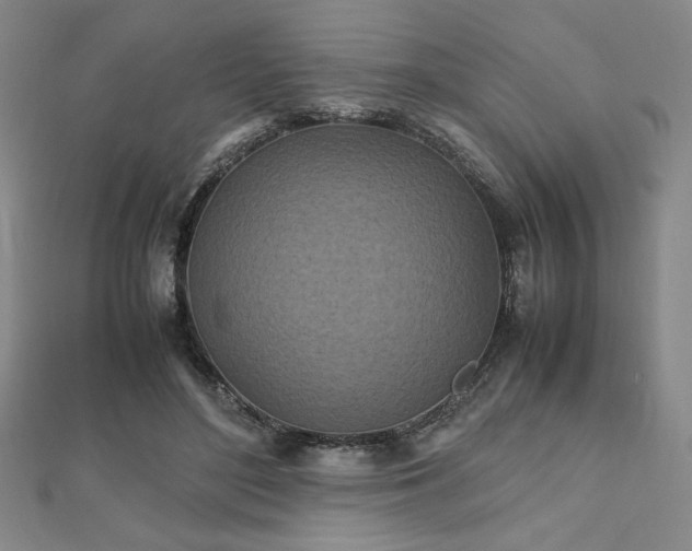 X0000112510500200908171336