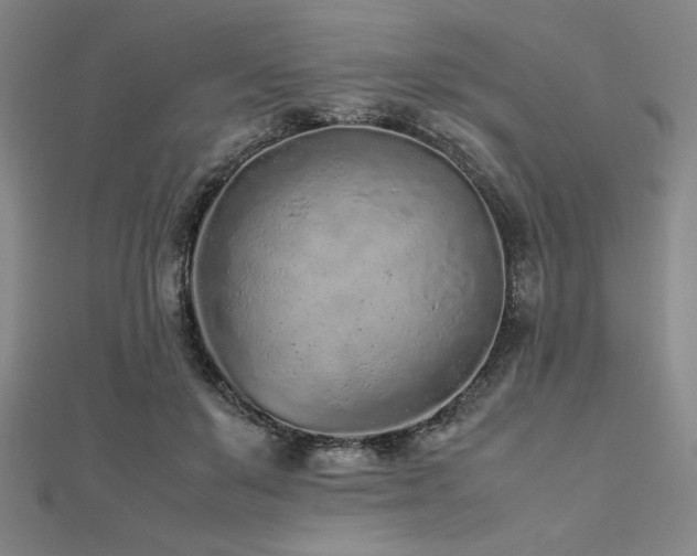 X0000112510503200908171336