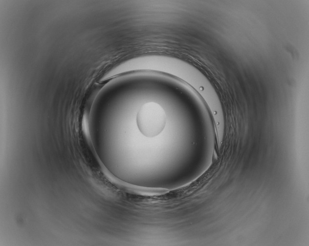 X0000112510504200908171336