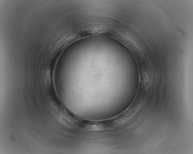 X0000112510506200908171336