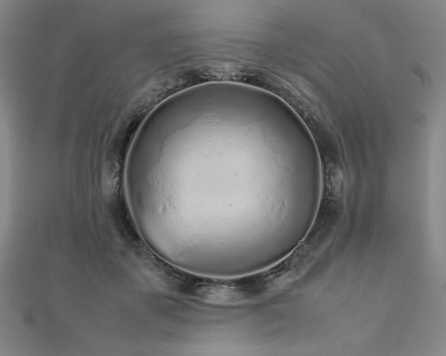 X0000112510507200908171336