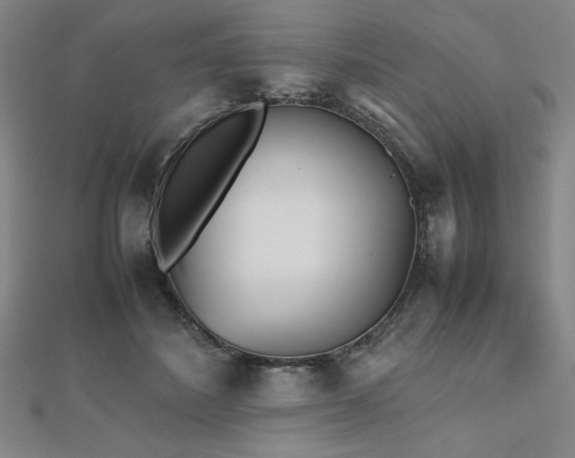 X0000112510508200908171336