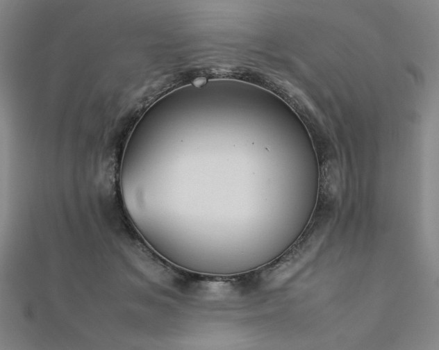 X0000112510509200908171336