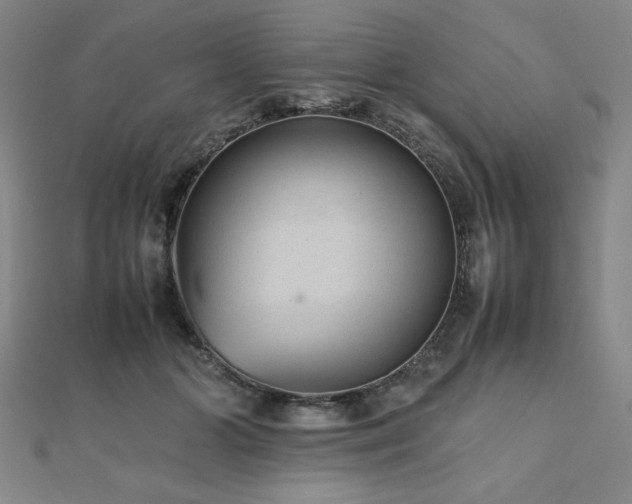 X0000112510510200908171336