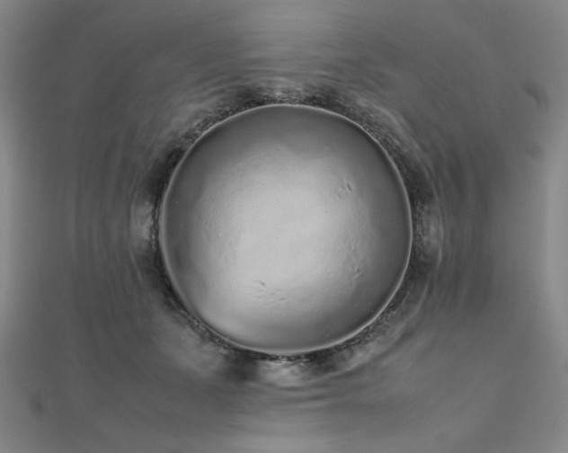 X0000112510511200908171336