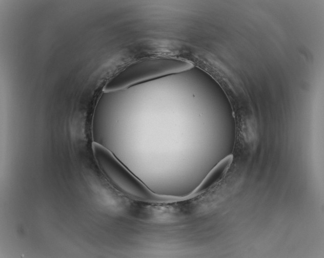 X0000112510512200908171336