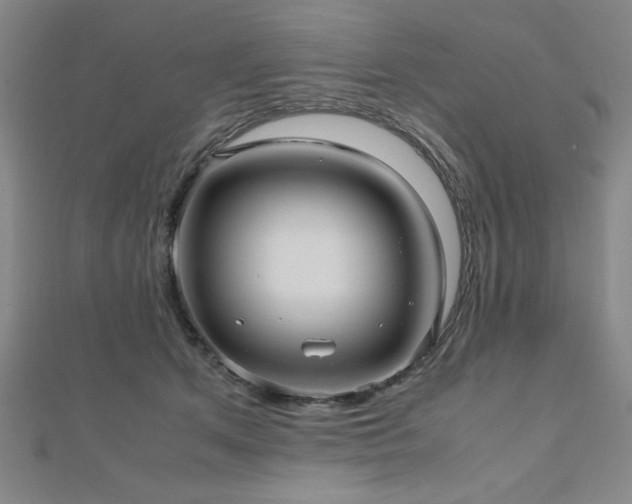 X0000112510513200908171336