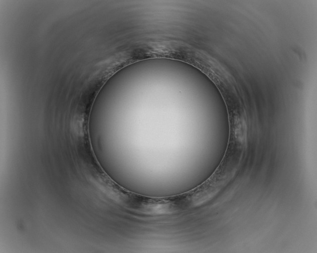 X0000112510514200908171336