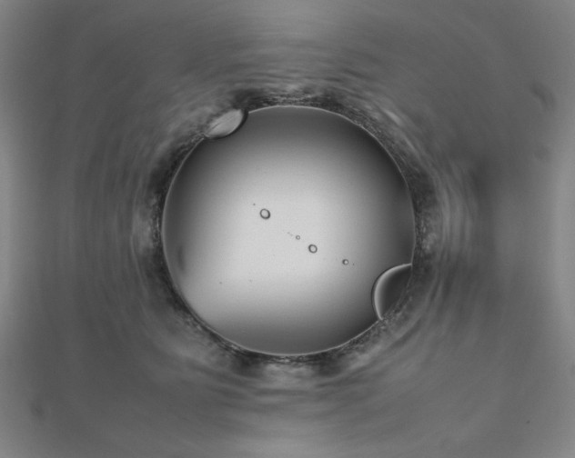 X0000112510515200908171336