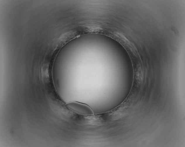 X0000112510516200908171336