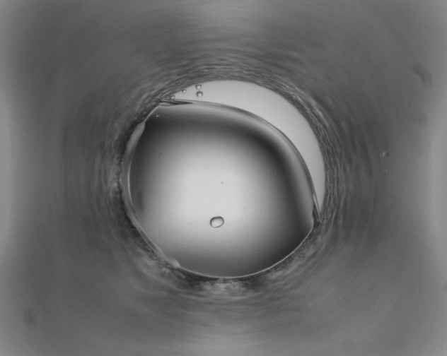 X0000112510517200908171336