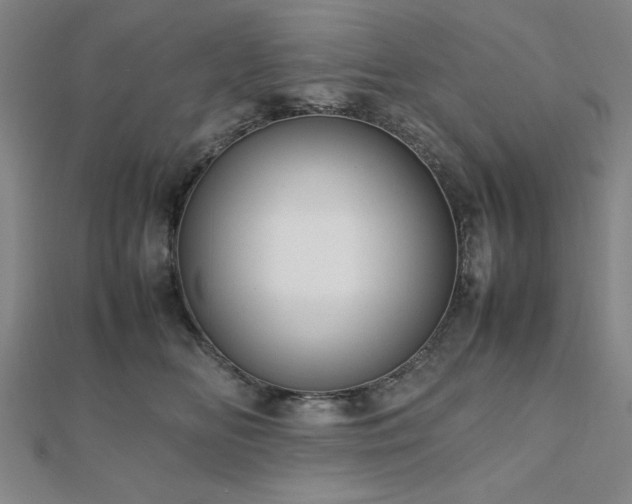 X0000112510518200908171336