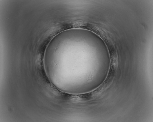 X0000112510519200908171336