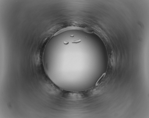 X0000112510520200908171336