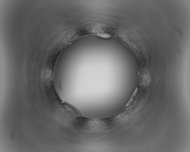 X0000112510521200908171336