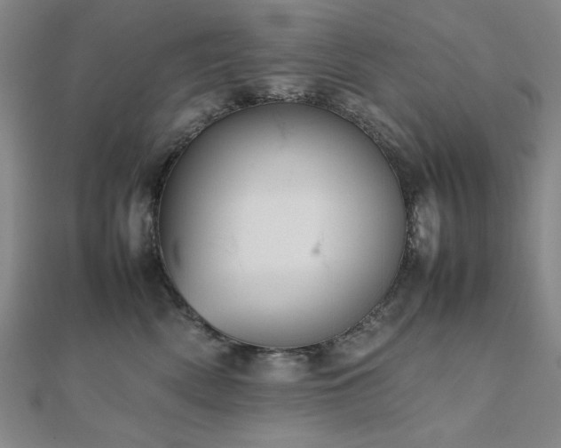 X0000112510522200908171336