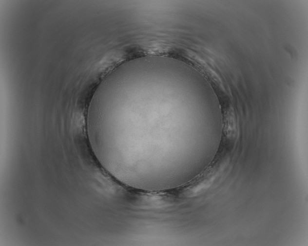 X0000112510523200908171336