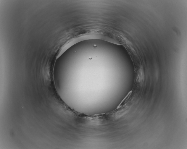 X0000112510524200908171336