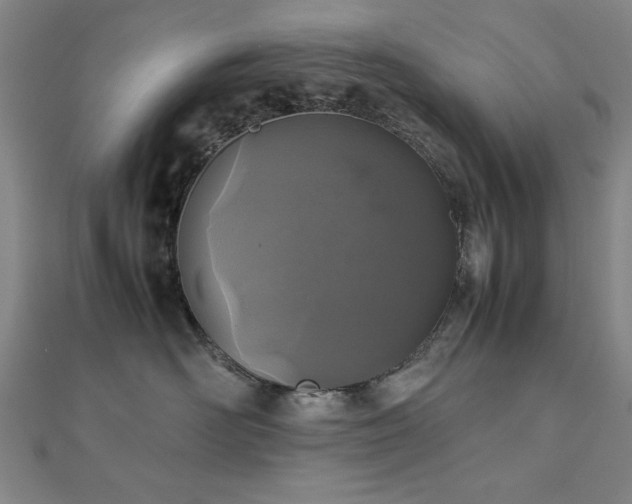 X0000112510526200908171336