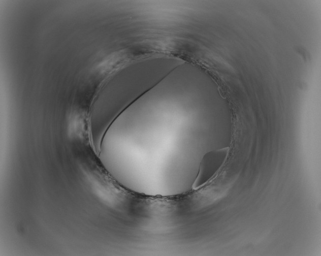 X0000112510528200908171336