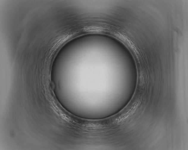 X0000112510529200908171335