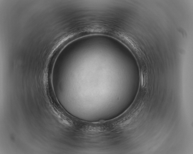 X0000112510531200908171335