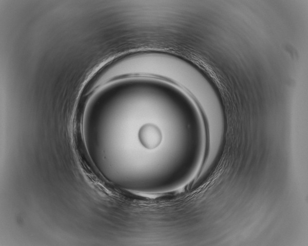 X0000112510532200908171335