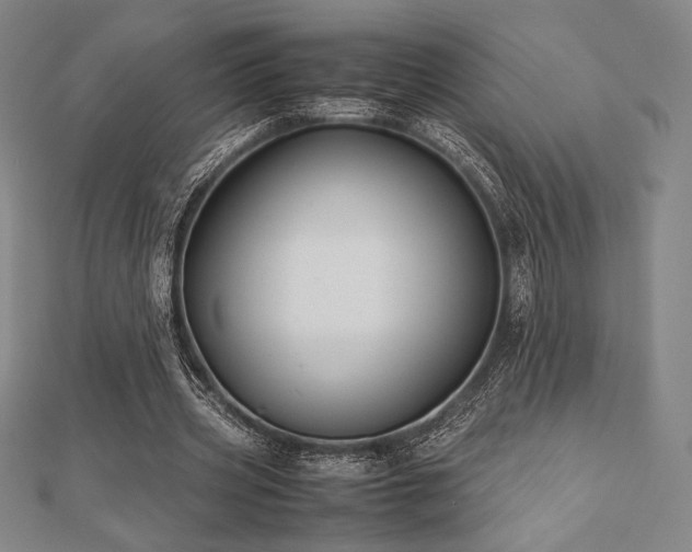 X0000112510533200908171335