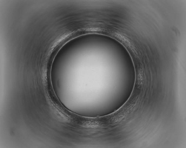 X0000112510535200908171335