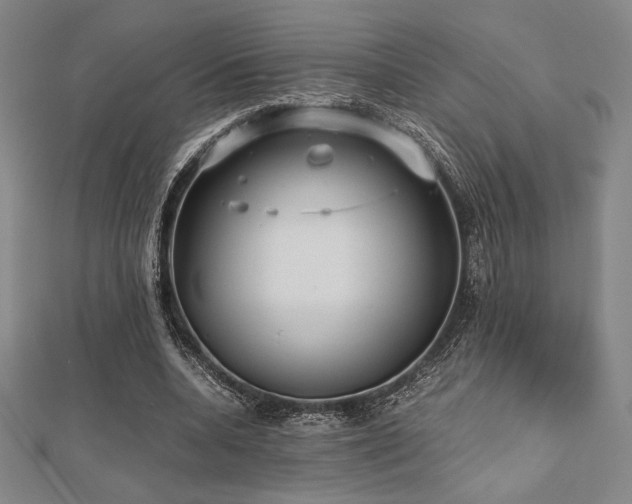 X0000112510536200908171335