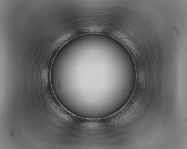 X0000112510537200908171335