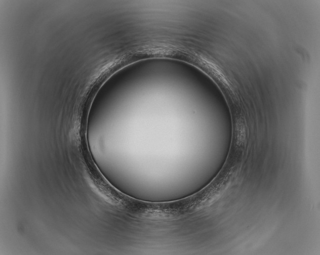 X0000112510538200908171335