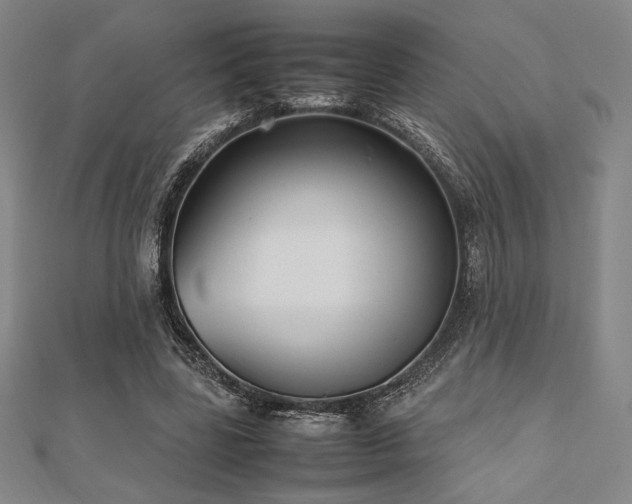 X0000112510539200908171336