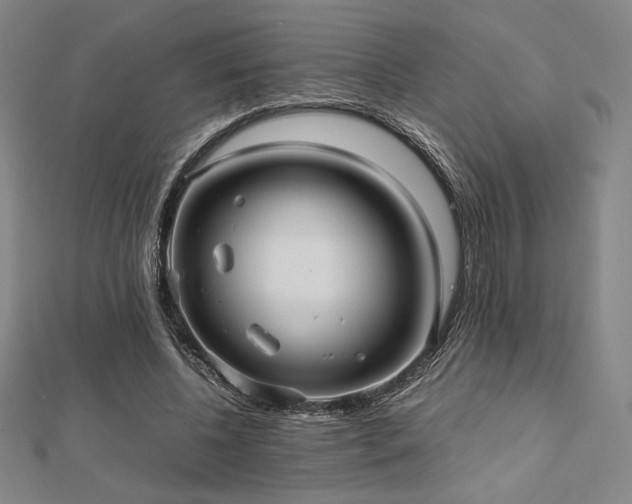 X0000112510540200908171336