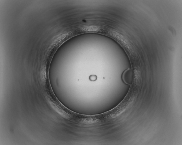 X0000112510541200908171336