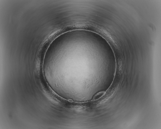 X0000112510542200908171336