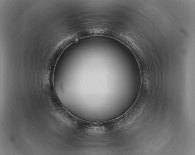 X0000112510543200908171336