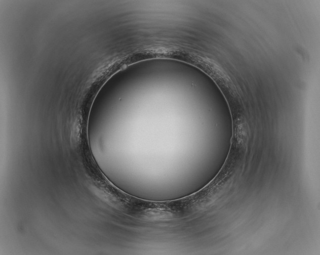 X0000112510544200908171336