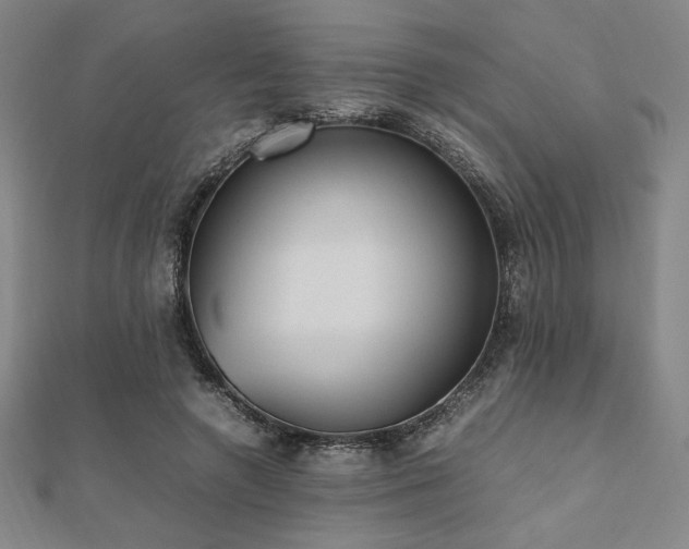 X0000112510546200908171336