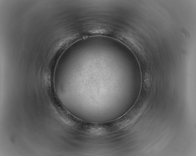 X0000112510547200908171336