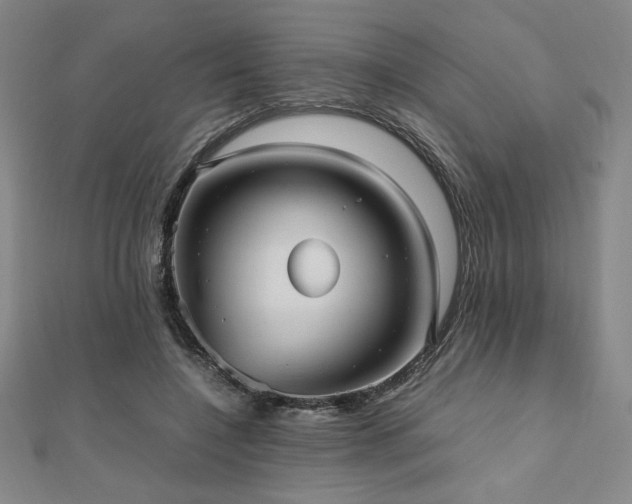 X0000112510548200908171336