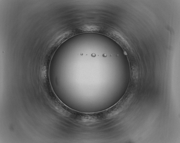 X0000112510549200908171336