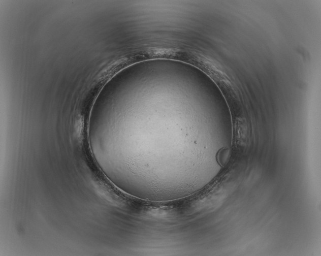 X0000112510550200908171336