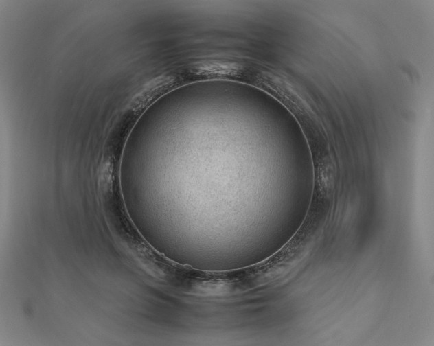 X0000112510551200908171336