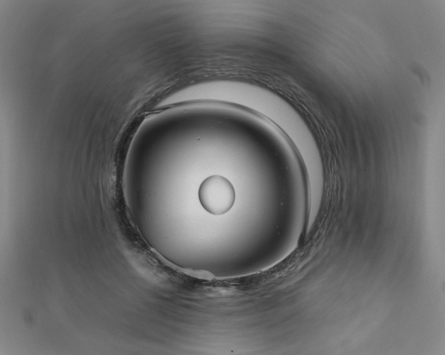 X0000112510552200908171336