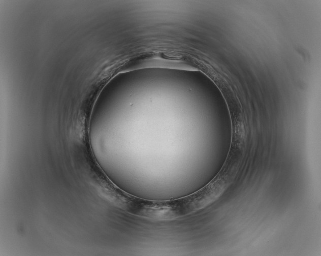 X0000112510554200908171336