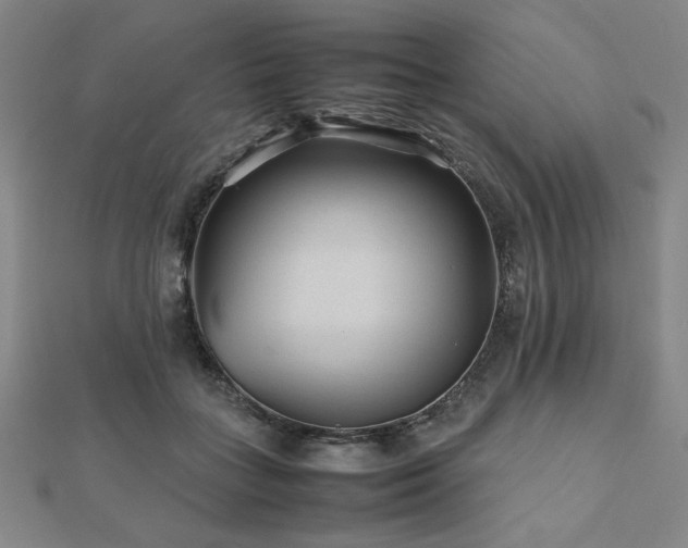 X0000112510555200908171336