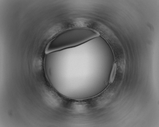 X0000112510556200908171336