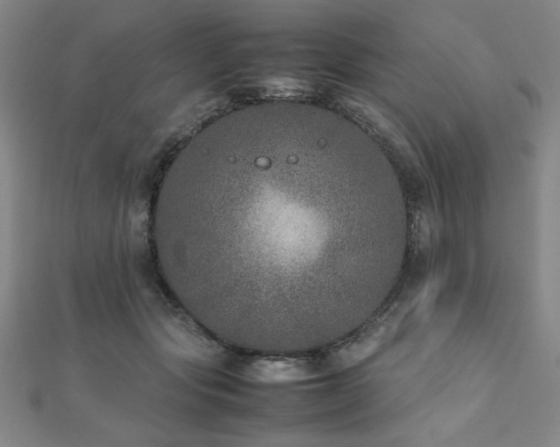 X0000112510557200908171336